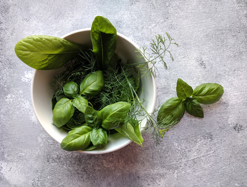 Green Leaves